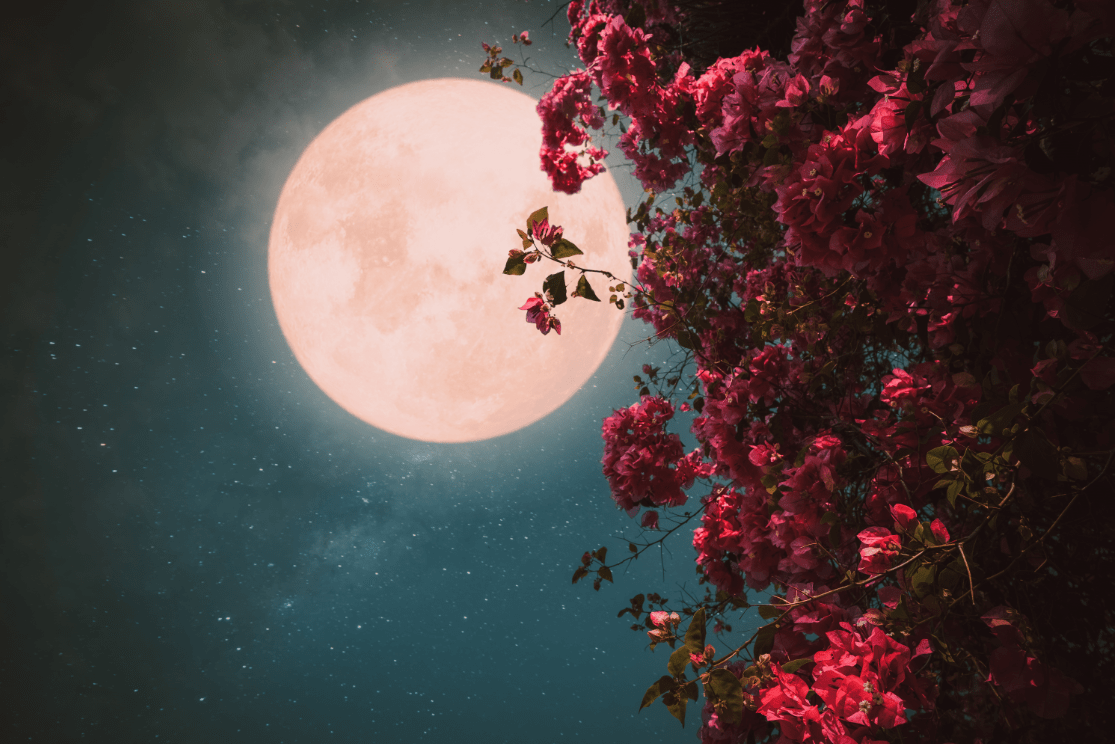 circulo de mujeres luna llena online